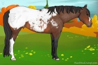 Horse Color:Bay Snowcap 