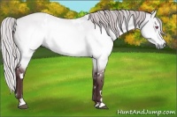 Horse Color:White Spotted Chocolate Silver Brown Chinchilla Dun Sabino