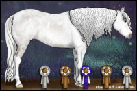 Horse Color:Gray White Spotted Buckskin Splash 
