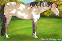 Horse Color:White Spotted Sable Cream Champagne Frame 