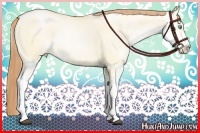 Horse Color:Buckskin Pearl Dun Sabino Varnish