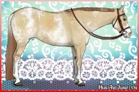 Horse Color:White Spotted Red Dun Varnish Rabicano Brindle 