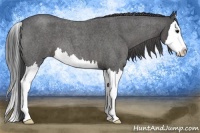 Horse Color:Smoky Blue Roan Splash