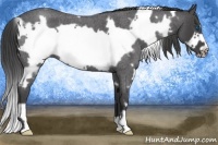 Horse Color:White Spotted Smoky Blue Roan Frame 
