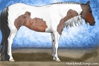 Horse Color:Brown Roan Tobiano 