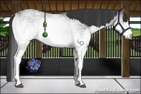Horse Color:White Spotted Grullo