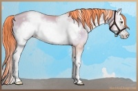 Horse Color:Watercolor White Spotted Liver Red Dun Pearl Onyx Sabino Frame Rabicano Brindle 