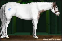 Horse Color:Brown Tobiano Frame 