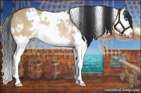 Horse Color:White Spotted Bay Dun Sabino Splash Rabicano