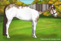 Horse Color:White Spotted Liver Red Dun Frame 