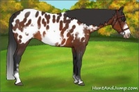 Horse Color:Bay Sabino Frame Blanket 