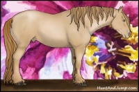 Horse Color:Chestnut Pearl