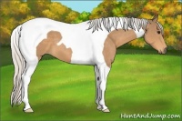Horse Color:Silver Buckskin Tobiano 