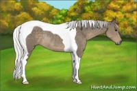 Horse Color:Silver Smoky Black Tobiano Rabicano 