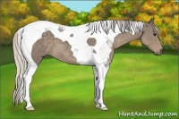Horse Color:Silver Smoky Blue Roan Tobiano 