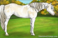 Horse Color:White Spotted Liver Red Dun Pearl Onyx Splash 