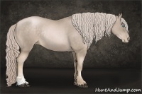 Horse Color:Chocolate Palomino Pearl Sabino Rabicano