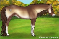 Horse Color:Red Onyx 
