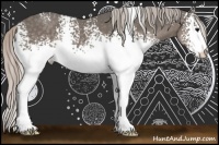 Horse Color:White Spotted Silver Black Sabino