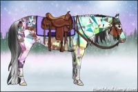 Horse Color:White Spotted Brown Appaloosa 