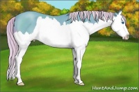 Horse Color:Watercolor Chocolate Palomino Roan Sabino Splash