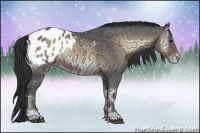 Horse Color:Brown Ice Onyx Appaloosa Rabicano 