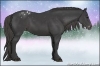 Horse Color:Smoky Black Appaloosa 