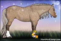 Horse Color:Silver Brown Dun Sabino 