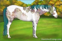 Horse Color:Painted Nacre Bay Ice Dun Sabino Splash Tobiano 