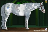 Horse Color:Watercolor White Spotted Black 