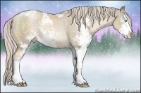 Horse Color:Chocolate Palomino Pearl Sabino Appaloosa