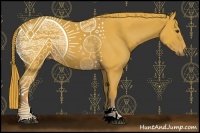 Horse Color:Watercolor Chestnut Sabino 