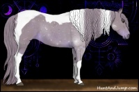 Horse Color:Watercolor Chestnut Tobiano 