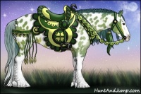 Horse Color:Watercolor Bay Splash Appaloosa 