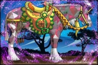 Horse Color:White Spotted Chestnut Splash Appaloosa 