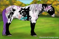 Horse Color:Watercolor White Spotted Bay Splash Rabicano