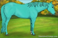 Horse Color:Watercolor Black