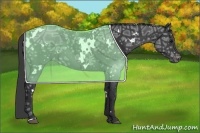 Horse Color:White Spotted Black Ice Appaloosa