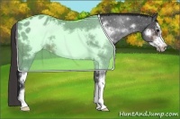 Horse Color:Brown Sabino Frame Appaloosa 
