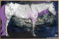 Horse Color:Painted White Spotted Smoky Grullo Chinchilla Sabino Blanket Rabicano Brindle 