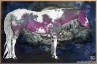 Horse Color:Silver Brown Splash Tobiano Frame