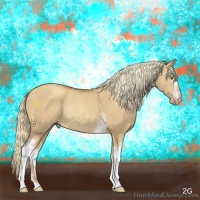Horse Color:White Spotted Gold Champagne Dun Rabicano Brindle 