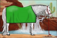 Horse Color:Silver Brown Chinchilla Ice Dun Splash 