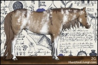 Horse Color:White Spotted Liver Red Dun Rabicano 
