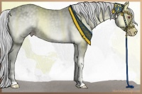 Horse Color:Silver Classic Champagne Chinchilla Onyx 
