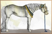 Horse Color:Silver Blue Onyx Chinchilla Splash 