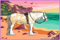 Horse Color:Buckskin Sabino Blanket