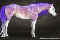 Horse Color:Watercolor White Spotted Buckskin Ice Splash 