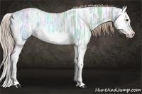 Horse Color:Watercolor Chestnut Ice Splash