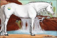 Horse Color:Chocolate Palomino Sabino Splash 